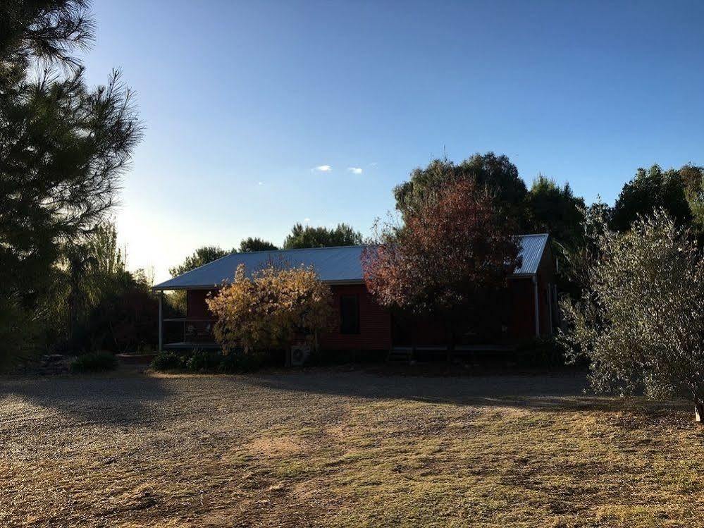 Hillview Farmstay Gundagai Exterior foto
