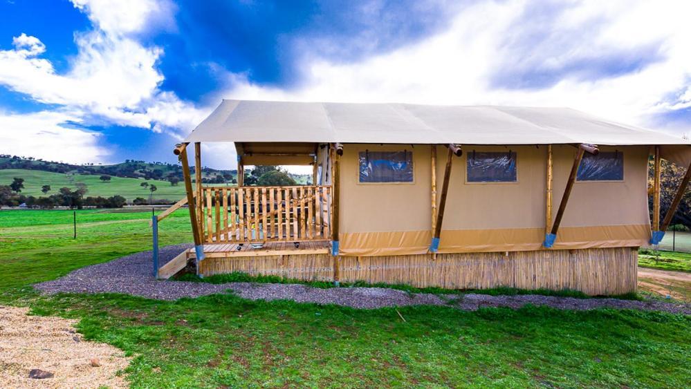 Hillview Farmstay Gundagai Exterior foto
